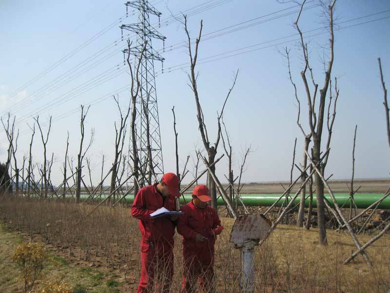 管道外腐蚀评估(ECDA)(图4) 管道外腐蚀评估(ECDA)(图4)